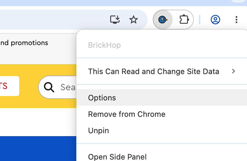 The right-click menu on the BrickHop toolbar icon, with 'Options' highlighted. Above 'Options' are 'BrickHop' (grayed-out header) and 'This Can Read and Change Site Data'; below are 'Remove from Chrome', 'Unpin', and 'Open Side Panel'.